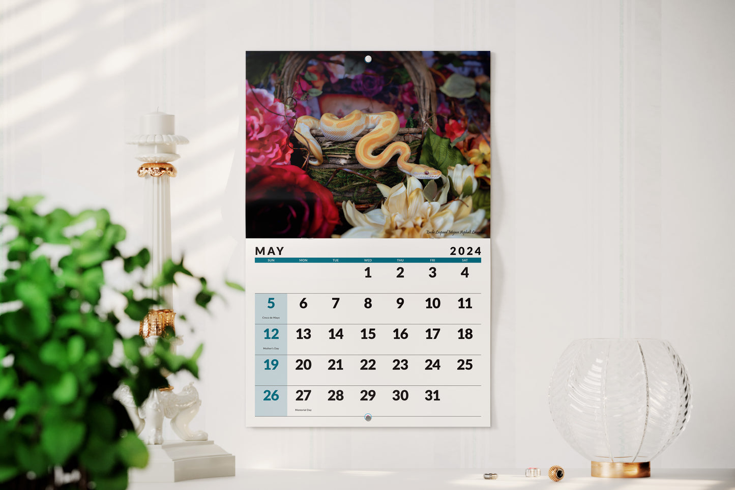 2024 Ball Python Calendar