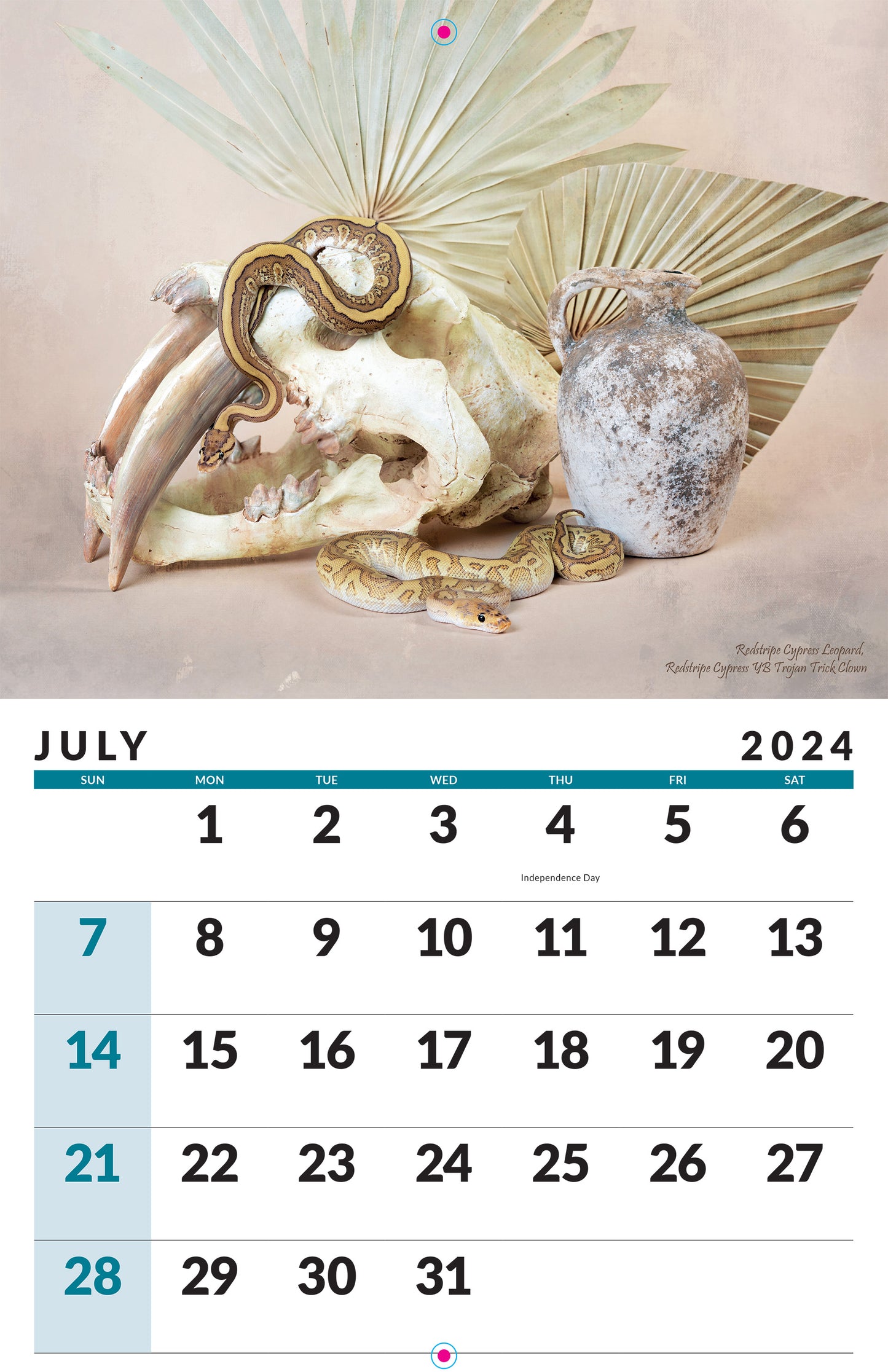 2024 Ball Python Calendar