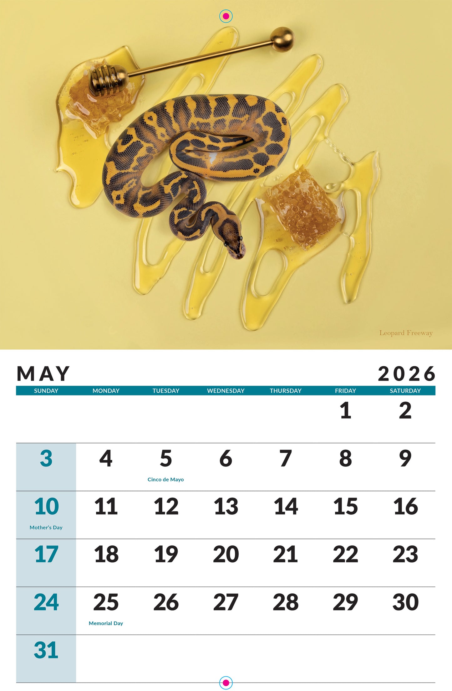 2026 Ball Python Calendar