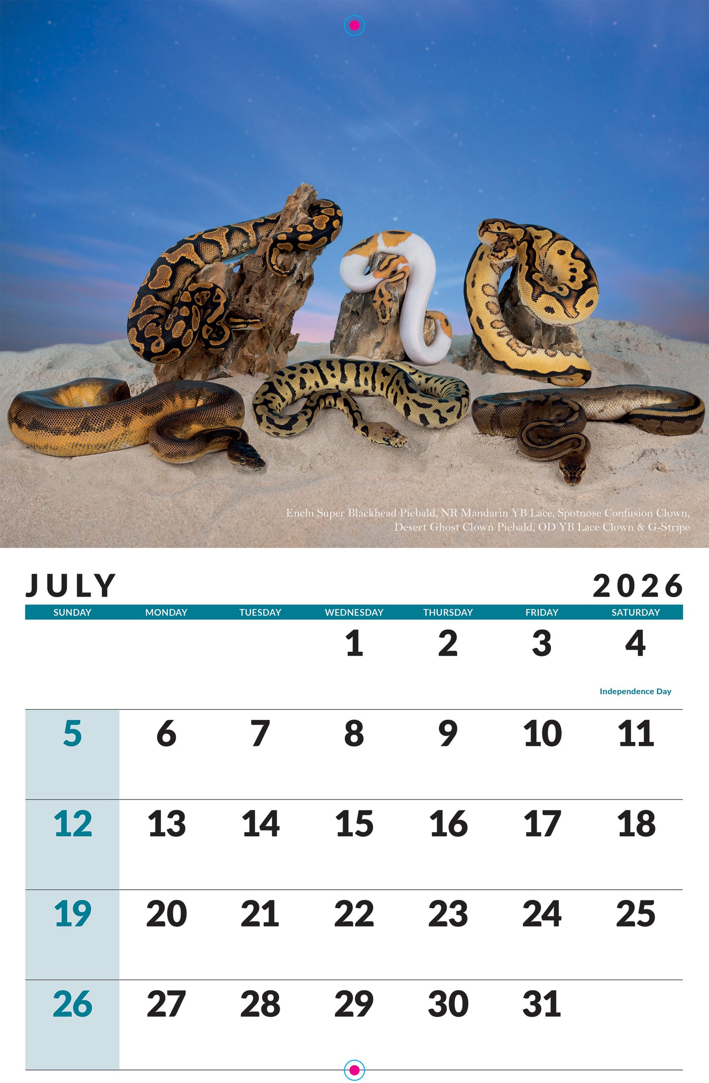 2026 Ball Python Calendar