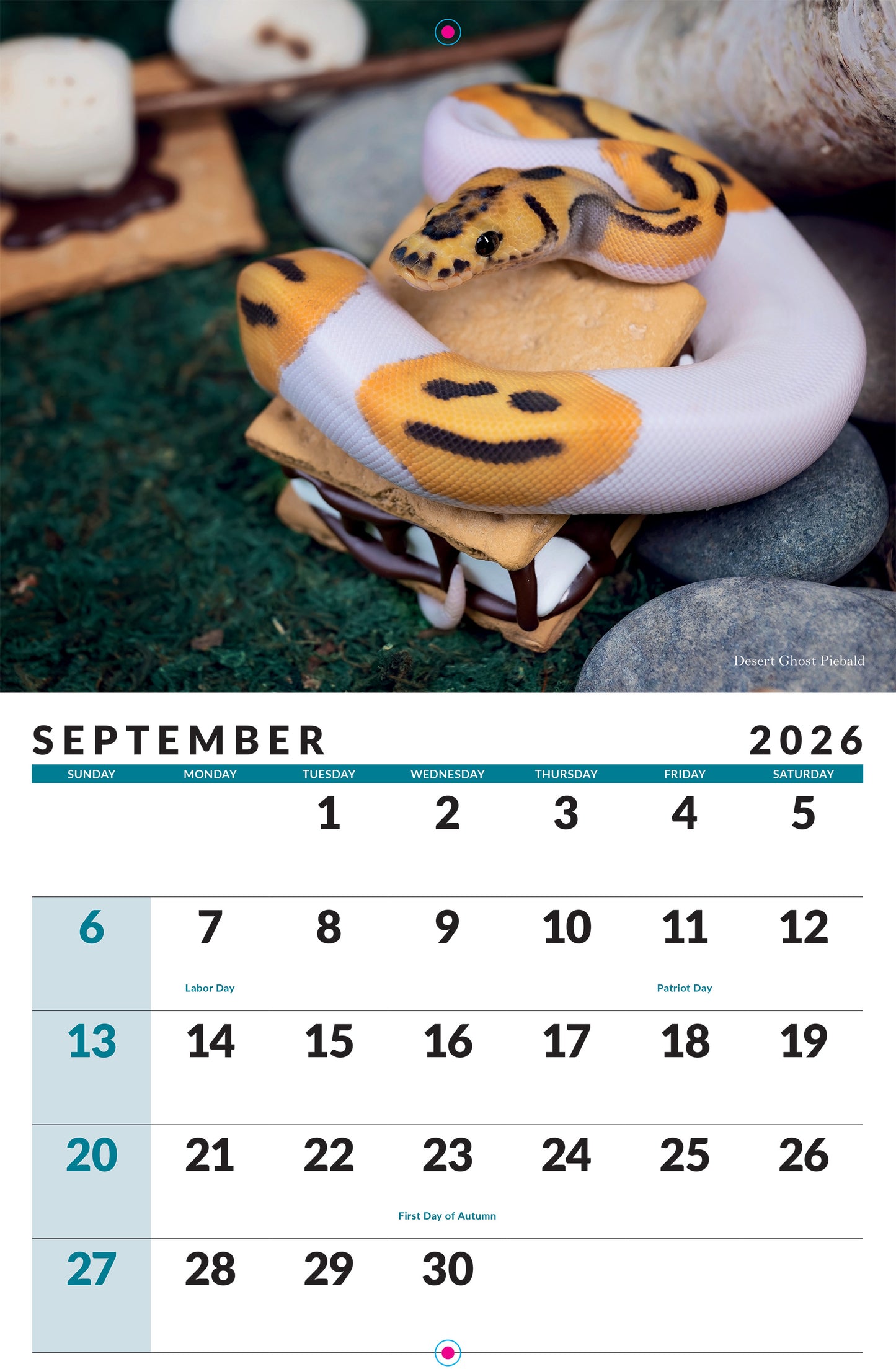 2026 Ball Python Calendar