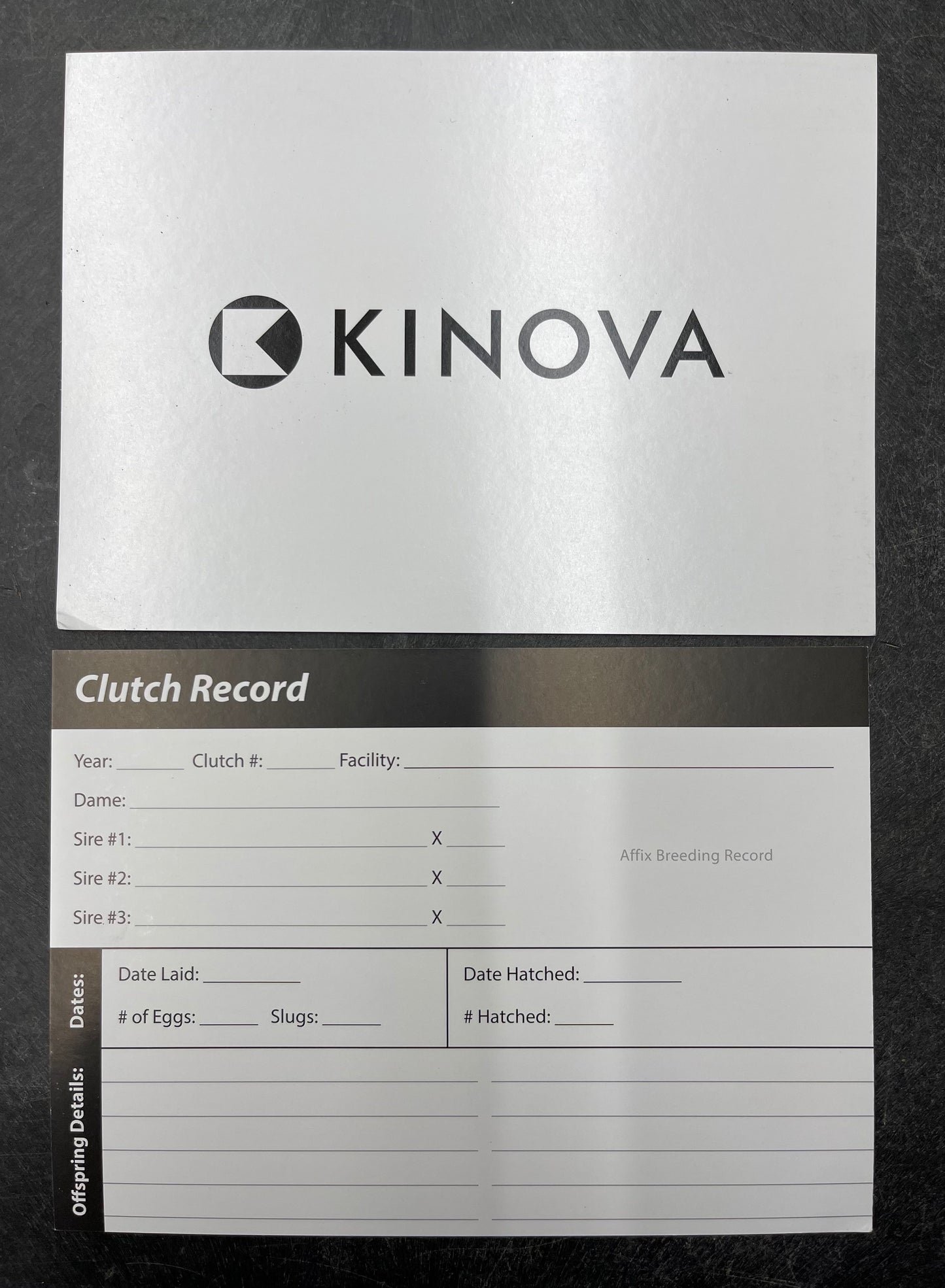 KINOVA Clutch Cards