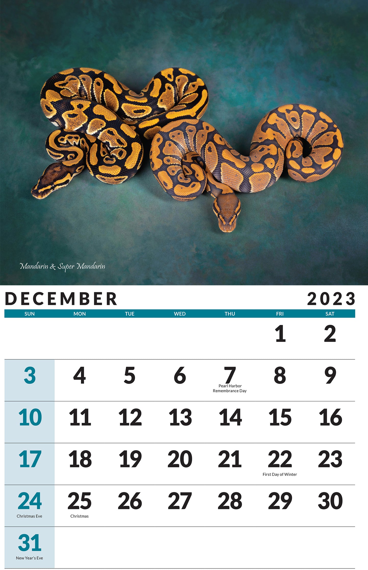 2023 Ball Python Calendar