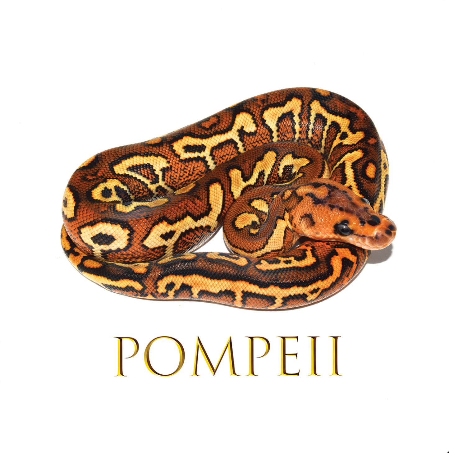 JKR Pompeii Poster